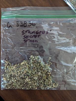 Click for 1 image(s) for this accession.
